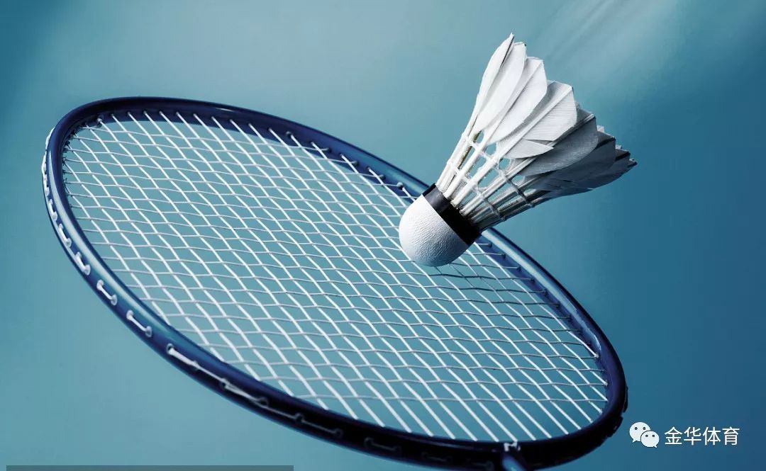 身意识的提 身意识的提